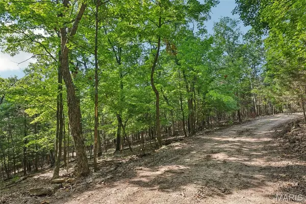 Byrnes Mill, MO 63051,6300 Franks RD