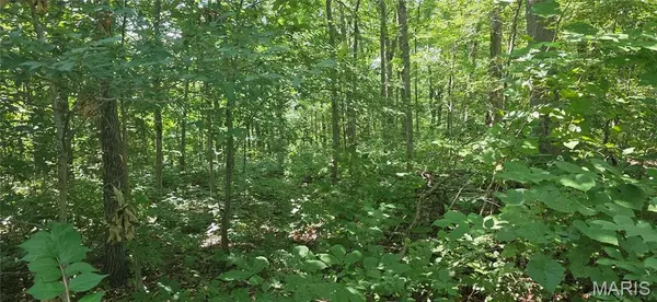 Bloomsdale, MO 63627,1158 Sunset DR