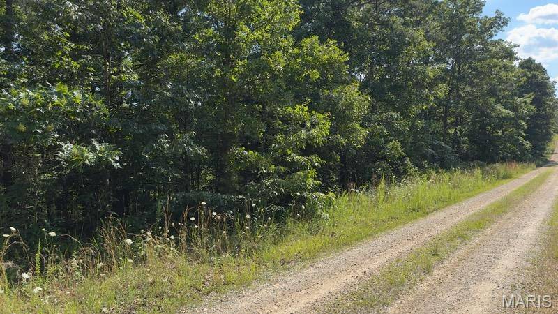 2150 Golden RD, Raymondville, MO 65555