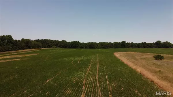 Auxvasse, MO 65231,40 +/- Acres County Road 1006