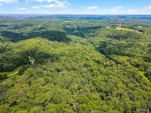 Pacific, MO 63069,4270 Alt RD