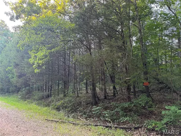 Bonne Terre, MO 63628,0 Rue Felice