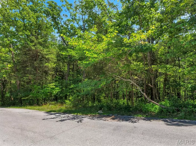 9630 Duffer DR, Hillsboro, MO 63050