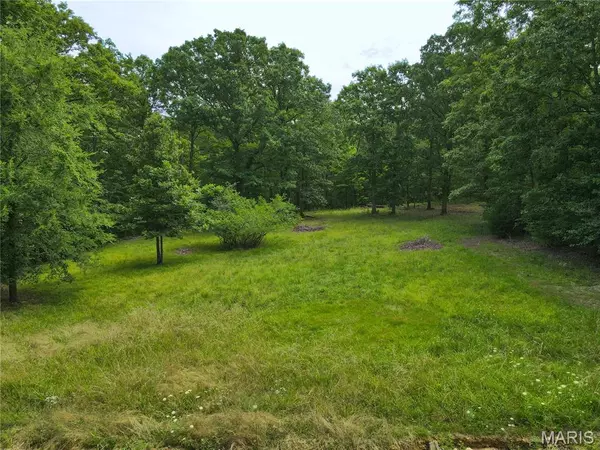 Wappapello, MO 63966,123 Buttry LN