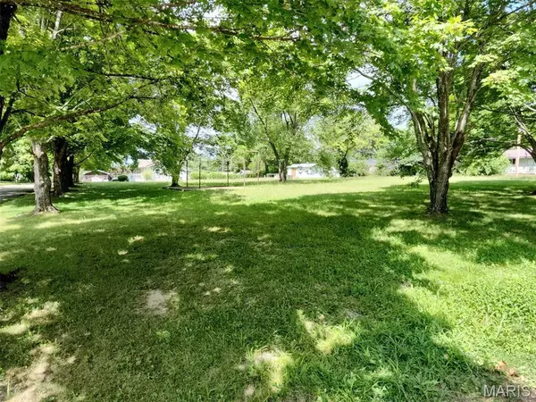 Houston, MO 65483,320 Quaker AVE