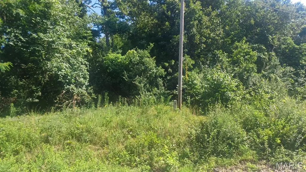 Perryville, MO 63775,Lot 60 Cheyenne LN