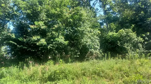 Perryville, MO 63775,Lot 60 Cheyenne LN