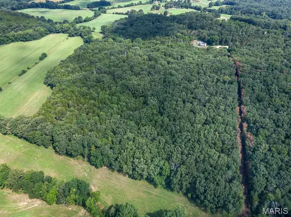 Lonedell, MO 63060,9528 Woodland RD