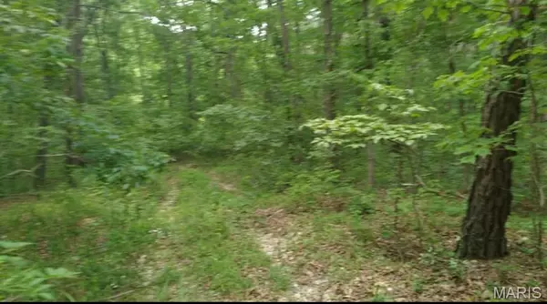 Other, MO 65793,481 Timberline RD