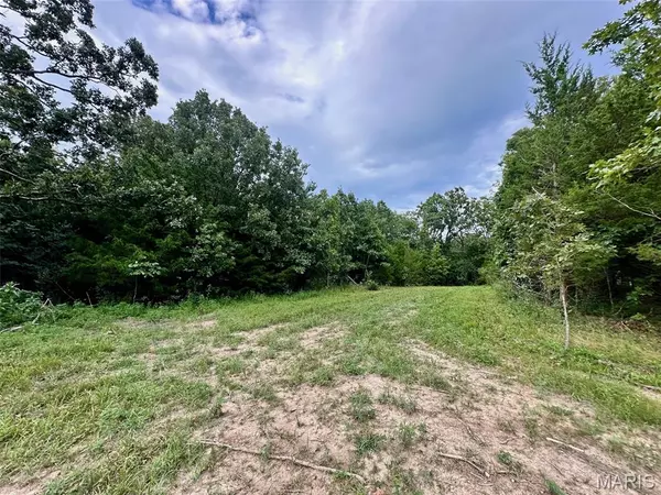 Salem, MO 65560,000 Co Rd 4180 Lot 11