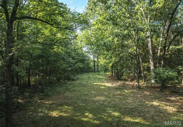 Rolla, MO 65401,0 County Road 5380