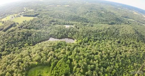 Holts Summit, MO 65043,3492 Camp Keown RD