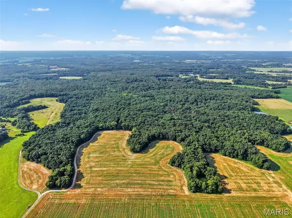 116.18 +/- Acres Highway DD, Bellflower, MO 63333