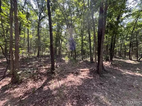 Bland, MO 65014,30 ACRES Elk Head RD