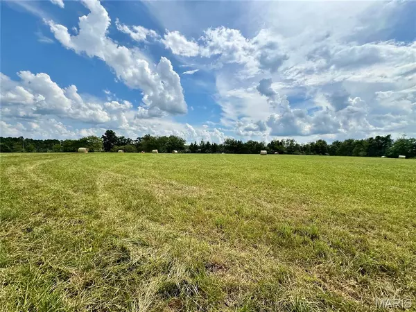 000 Spruce ST, Houston, MO 65483