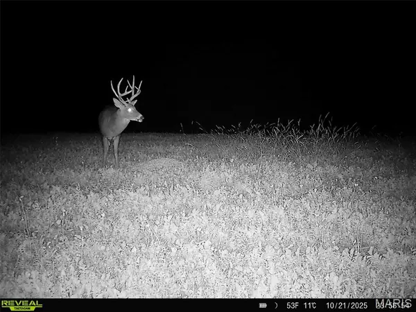 Sullivan, MO 63080,00 Lollar Branch Road