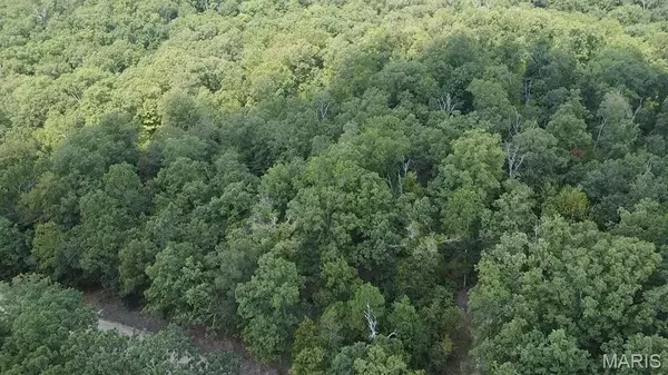 Williamsville, MO 63967,0 County Road 405