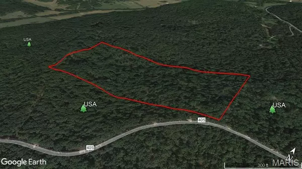 Williamsville, MO 63967,0 County Road 405