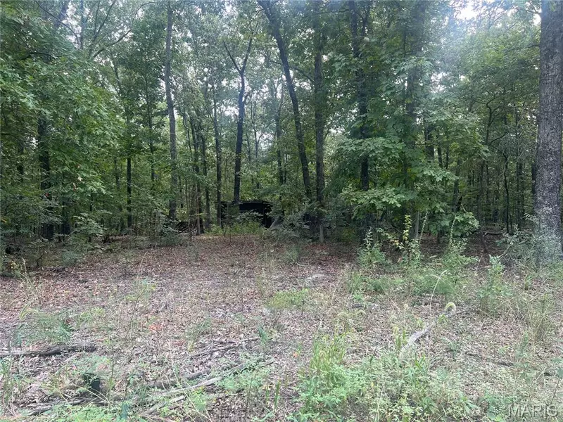 00 Wayne 505, Greenville, MO 63944