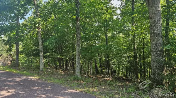 Lake Sherwood, MO 63357,468 Greenwood LN