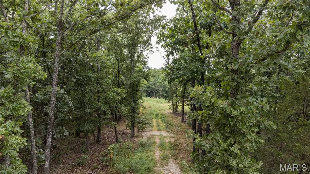 14.18 acres Peterson Road, Bland, MO 65014