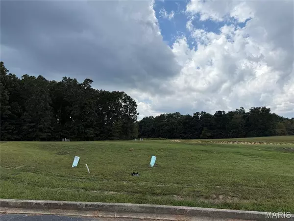 Poplar Bluff, MO 63901,0 Lots 8-13 Mallard Pointe Sub