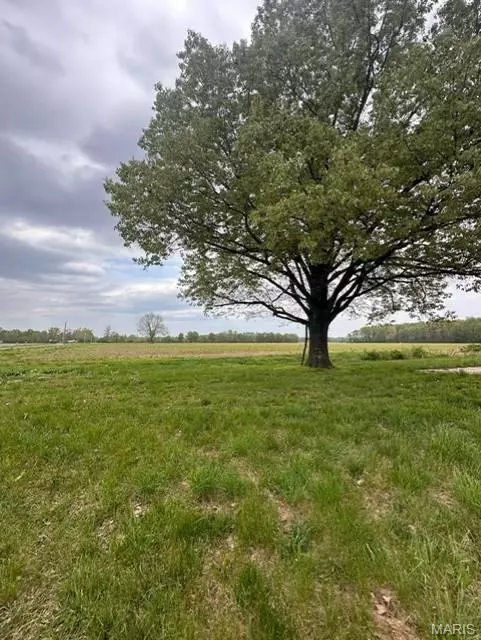 Poplar Bluff, MO 63901,1464 County Road 309