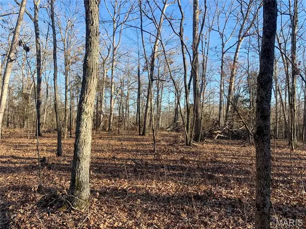 Marthasville, MO 63357,15+/- Acres 15+/- Acres Polston Ln.