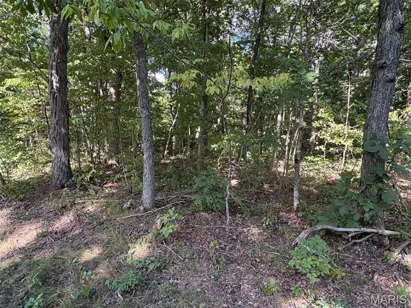 New Florence, MO 63363,56 Turkey TRL