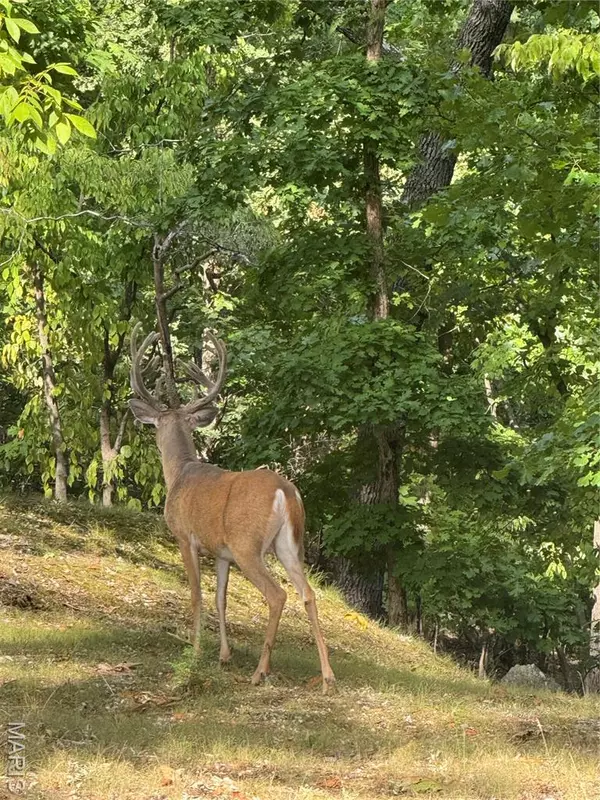 18759 Maries Road 308, Belle, MO 65013