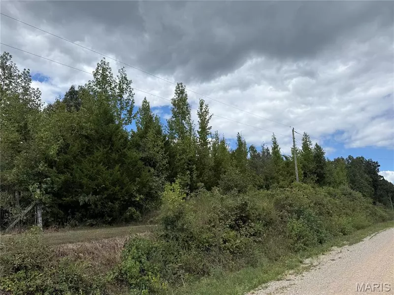 0 W County Road 482, Poplar Bluff, MO 63901