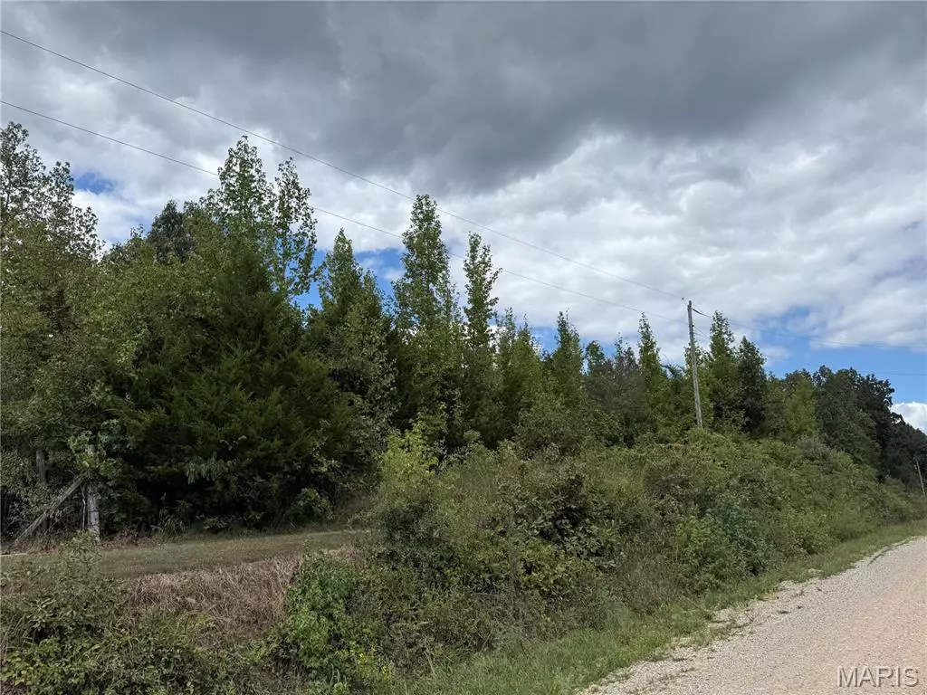 Poplar Bluff, MO 63901,0 W County Road 482