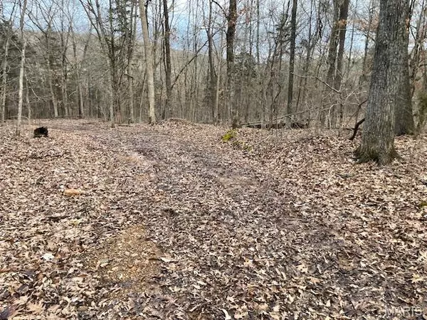 Cadet, MO 63630,1 Sugar Loaf Road