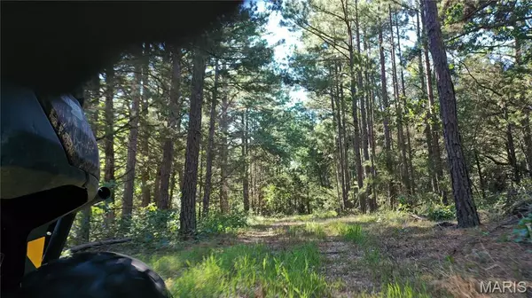 Edgar Springs, MO 65462,0 County Road 2590