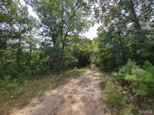 Fredericktown, MO 63645,2 Off Madison 9519