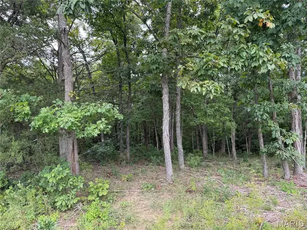 Irondale, MO 63648,0 State Highway U