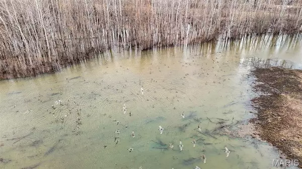 Matthews, MO 63867,1608 County Road 711