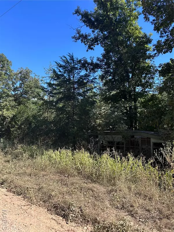 Leasburg, MO 65535,00 Possum Hollow