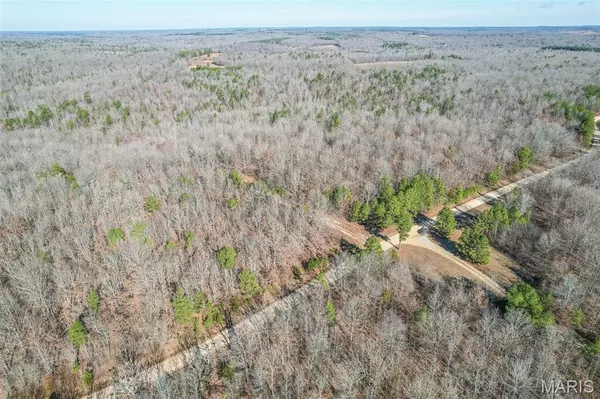 0 Ripley BB-2, Grandin, MO 63943