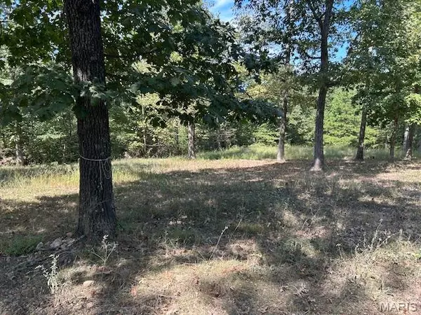 Annapolis, MO 63620,1087 Main St