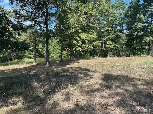 Annapolis, MO 63620,1087 Main St