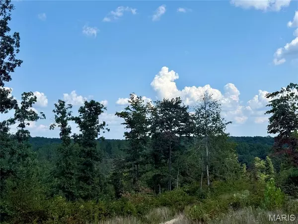 Centerville, MO 63633,0001 County Rd 342