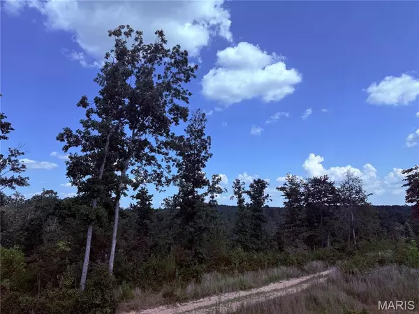 Centerville, MO 63633,0001 County Rd 342