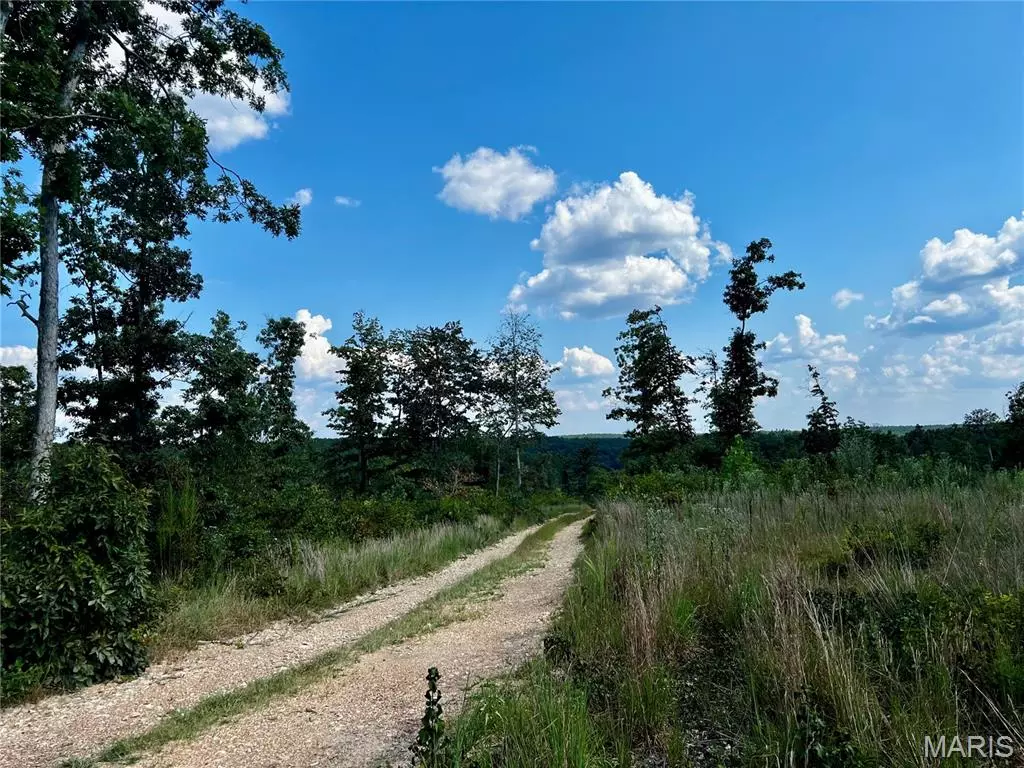 Centerville, MO 63633,0001 County Rd 342