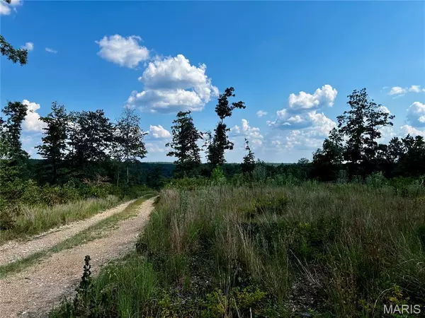 Centerville, MO 63633,0007 County Rd 342