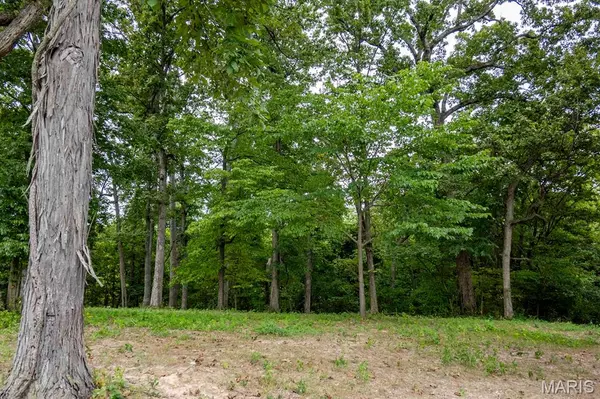 Wentzville, MO 63385,3110 Highway P