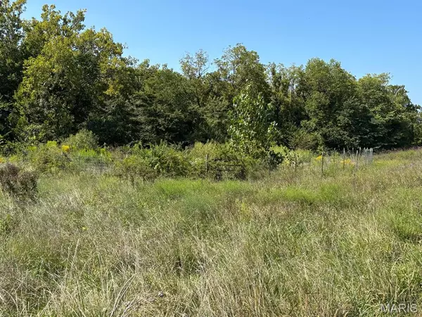 Palmyra, MO 63461,4475 Lone Tree TRL