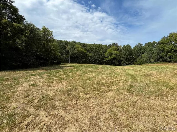 0 Pike 279, Bowling Green, MO 63334