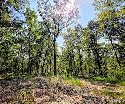 Rolla, MO 65401,4.93 acres County Road 7160
