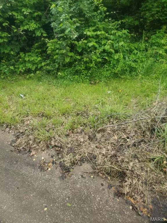 Florissant, MO 63033,3905 Max Weich PL